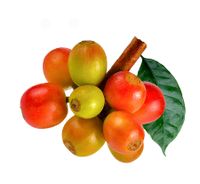 Diferentes productos agr&iacute;colas