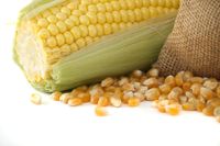 Diferentes productos agr&iacute;colas