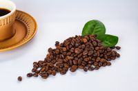 Diferentes productos agrícolas