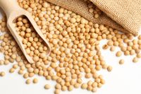 Diferentes productos agr&iacute;colas