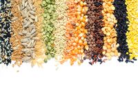 Diferentes productos agr&iacute;colas